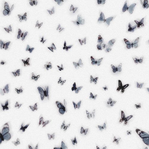 Light packaging with the title 'X-Ray Butterfly Design 3'