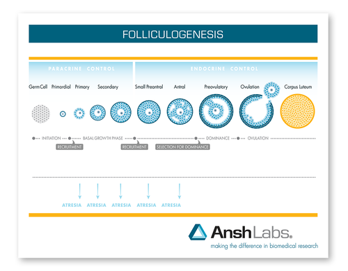 Medical artwork with the title 'Creative Scientific Illustration for Medical Research'