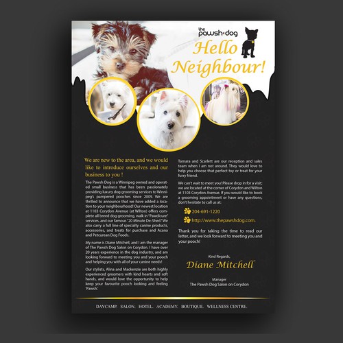 Flayer design with the title 'Modern luxury dog grooming salon in a trendy neighbourhood'