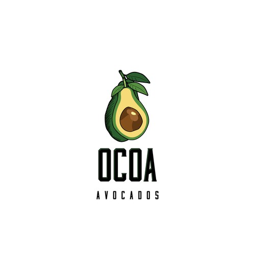 Avocado logo with the title 'Ocoa Avocados'