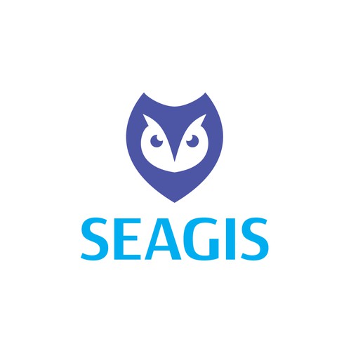 Wisdom logo with the title 'Logo of Wisdom and Protection'