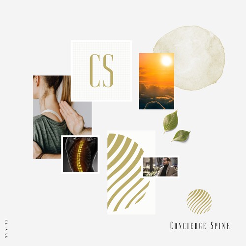 Surgery logo with the title 'Concierge Spine'