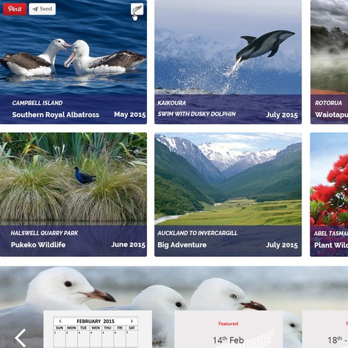 Big image website with the title 'website for travel agency'