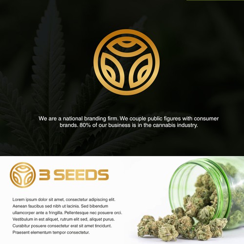 Hemp logo with the title '3 SEEDS'
