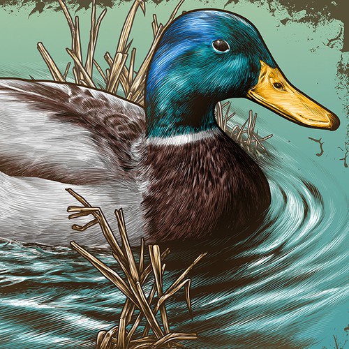 T-shirt with the title 'Fieldstones'