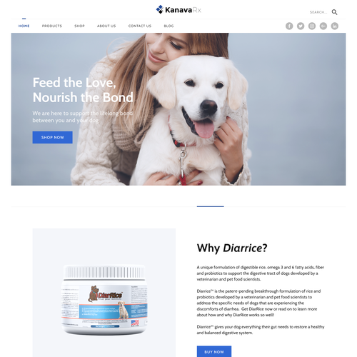 Desktop design with the title 'Dog supplements landing page'