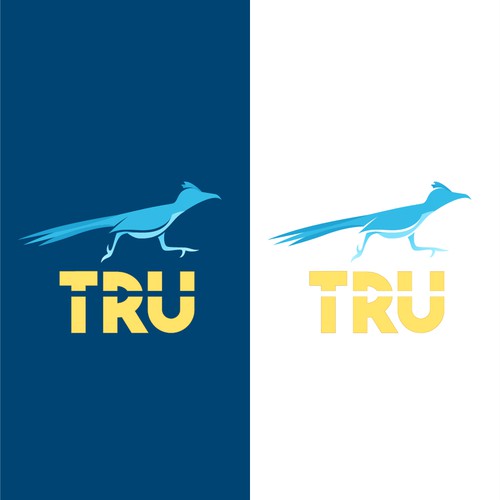 Roadrunner design with the title 'Tru - Roadrunner Logo / Branding'