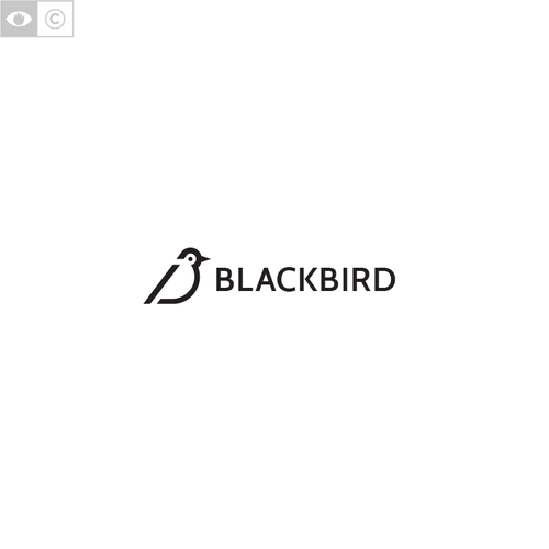 Programming design with the title 'Blackbird '