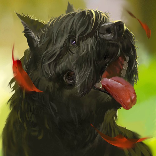 Painting artwork with the title 'bouvier'