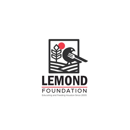 Nonprofit brand with the title 'Lemond logo'