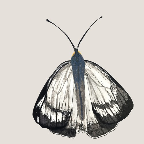 Illustrated label with the title 'Illustration for label'