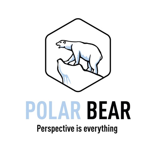 Ice design with the title 'Logo for a consulting company'