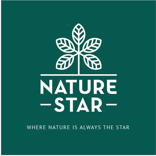 Natural brand with the title 'Logo identity for natural food company'