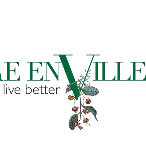 Valley logo with the title 'Logo design contest entry'