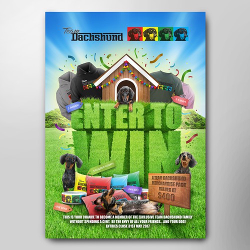 Photo editing design with the title 'Poster design for team Dachshund'