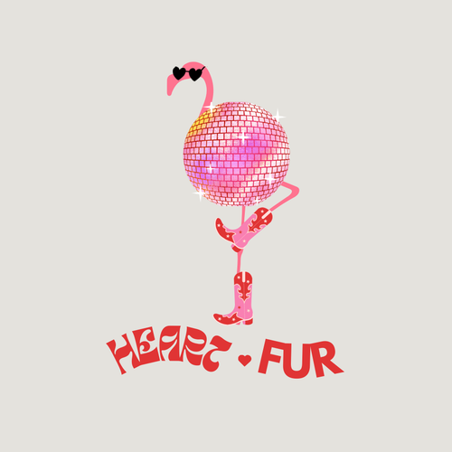 Disco logo with the title 'modern meets disco'