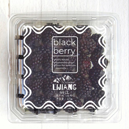 Branding label with the title 'Berries Label Design'