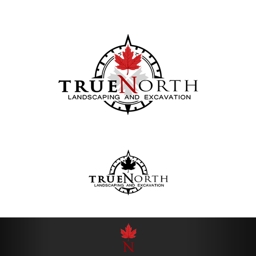 Compass logo with the title 'True North'
