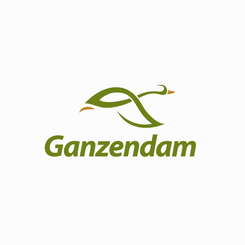 Airline and flight logo with the title 'Creative geese logo'