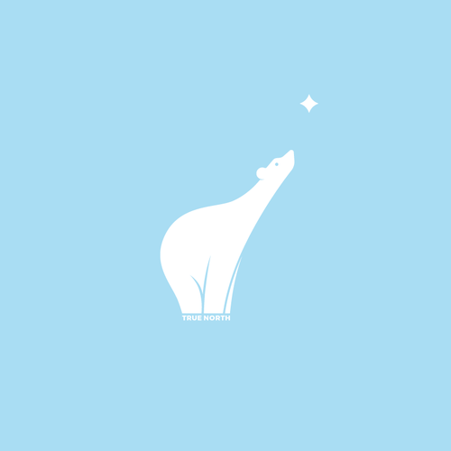 Polar logo with the title 'True North Logo'