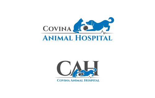 Hospital design with the title 'Covina Animal Hospital'