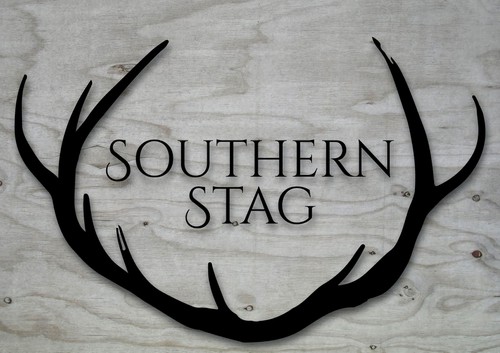Name logo with the title 'Brand my new Southern T-shirt line!    NAME & LOGO'