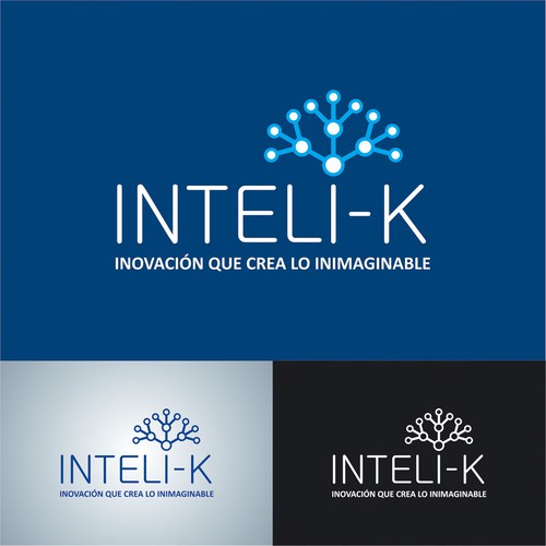 Server design with the title 'Logo and business card concept for a company who provides software solutions.'