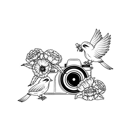 Bird illustration with the title 'Website illustrations with a vintage vibe.'
