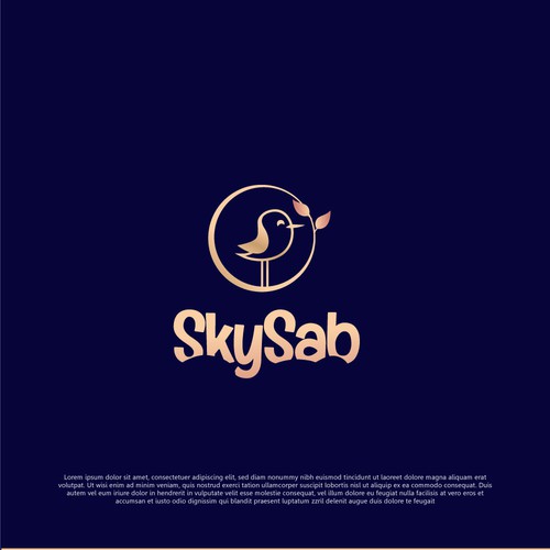 Kid's clothing logo with the title 'Sky Sab'