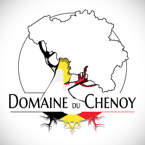 Vine logo with the title 'Domaine du Chenoy'