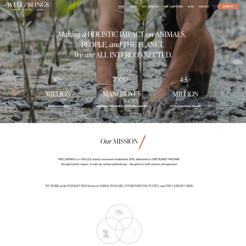 Project design with the title 'NGO website'