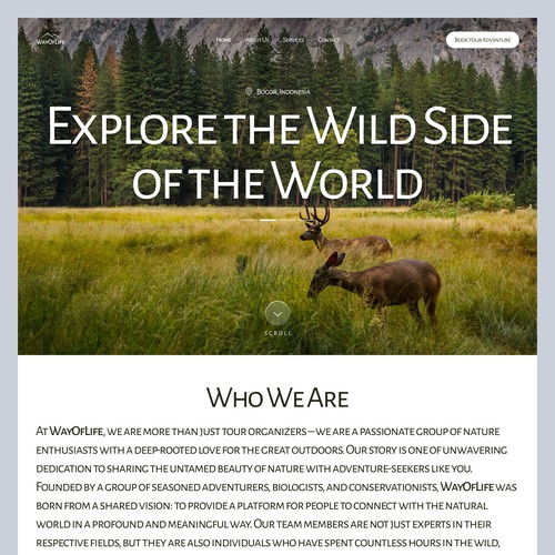Travel agency website with the title 'WayOfLife - Tour Guides Landing Page'