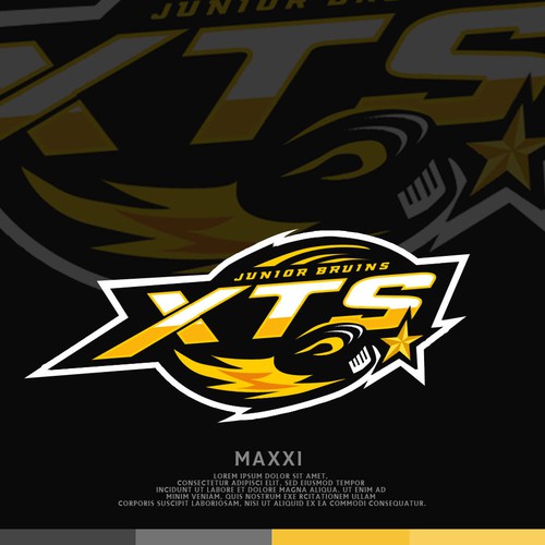 Tournament design with the title 'Hockey Logo'