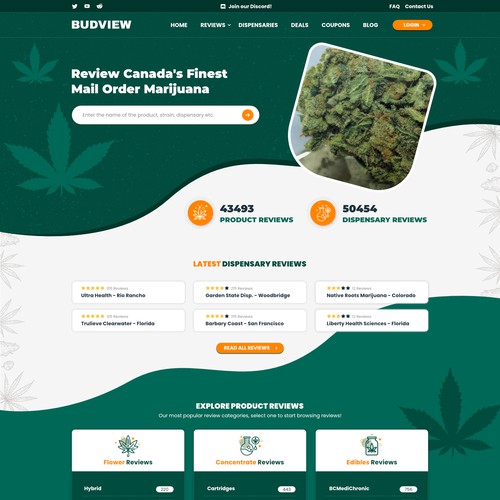 Review design with the title 'Budview'