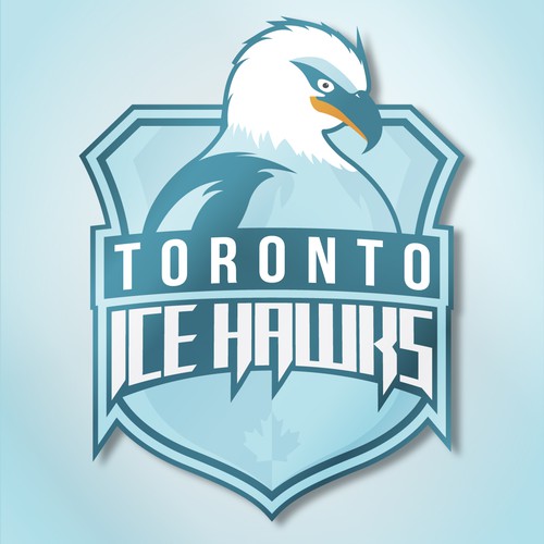 Hawk logo with the title 'Icy logo for hockey team'