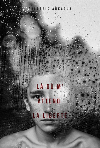 Modern book cover with the title 'Là où m'attend la liberté'