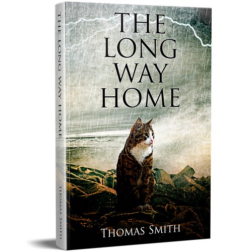 Artsy book cover with the title 'The Long Way Home'