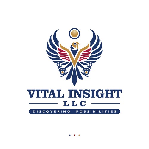 Falcon logo with the title 'VITAL INSIGHT LLC'