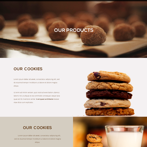 Food website with the title 'Website for a startup modern cookie company'