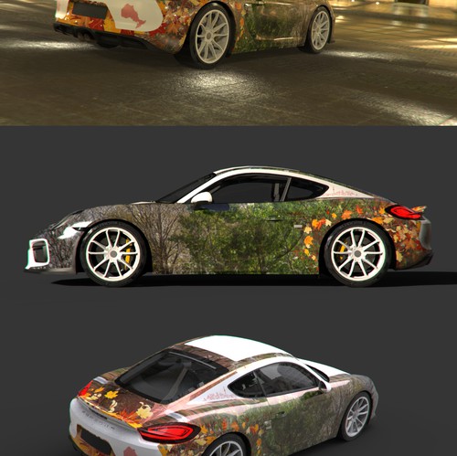 Porsche design with the title 'Car wrap - canadian seasons'