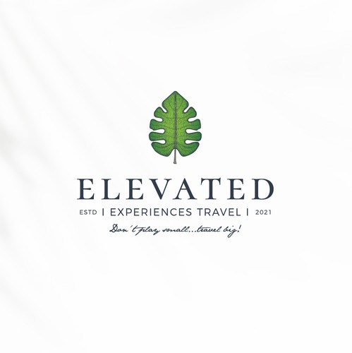 Hiking logo with the title 'Logo design for travel agency'