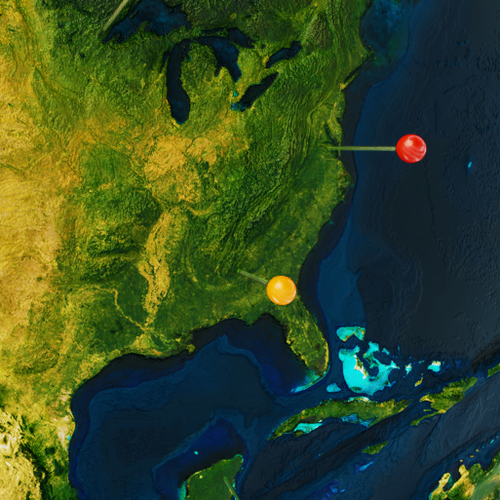 World artwork with the title 'Pins on the globe'