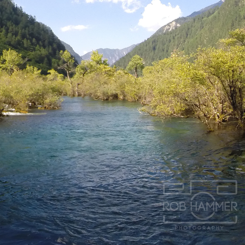 Watermark logo with the title 'Rob Hammer logo/watermark'