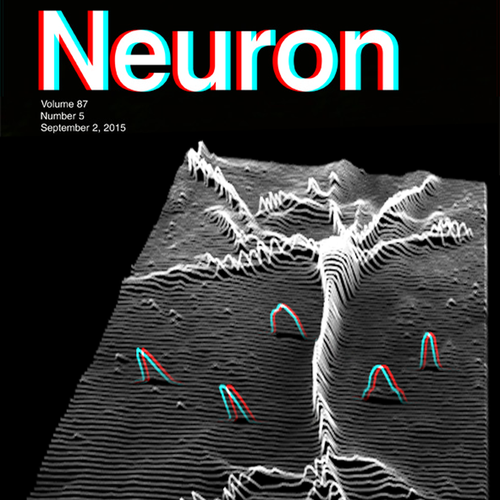 Science artwork with the title 'Neuron magazine cover'