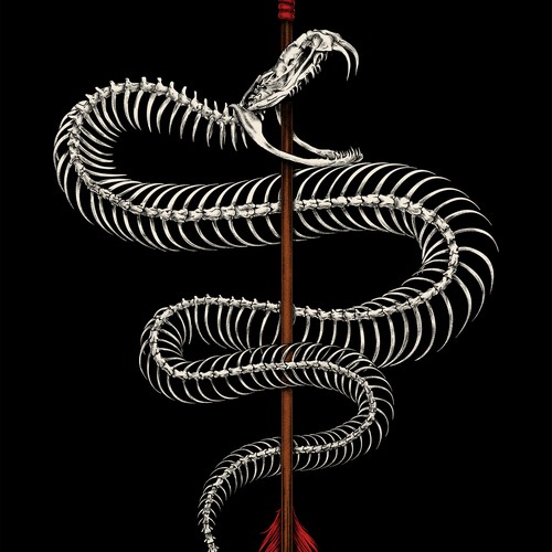 Snake t-shirt with the title 'snake arrow :)'