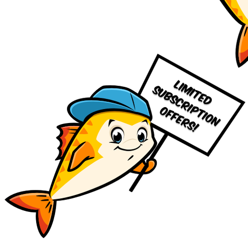 Cute animal design with the title 'Finn, mascot for starnewsgroup.com.au'