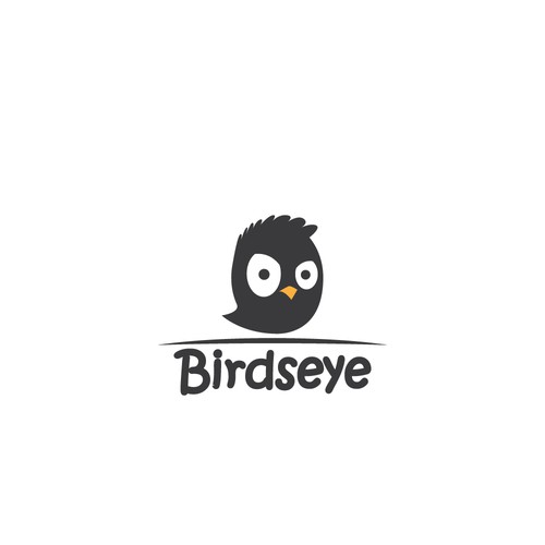 Drone logo with the title ' Design a new logo for Birdseye'