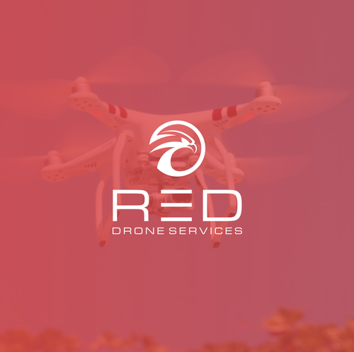 Industrial brand with the title 'Logo Drone & Eagle (for sale)'