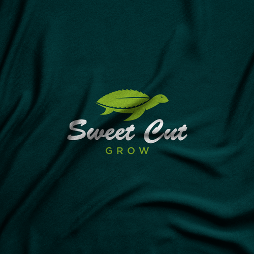 Tortoise logo with the title 'Unique Cannabis Logo'