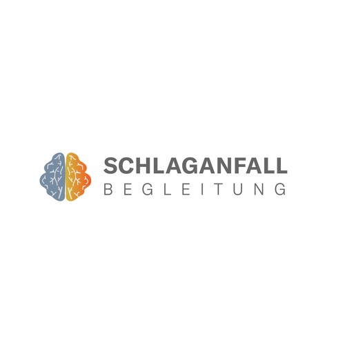 German logo with the title 'Schlagenfall Begleitung Logo'